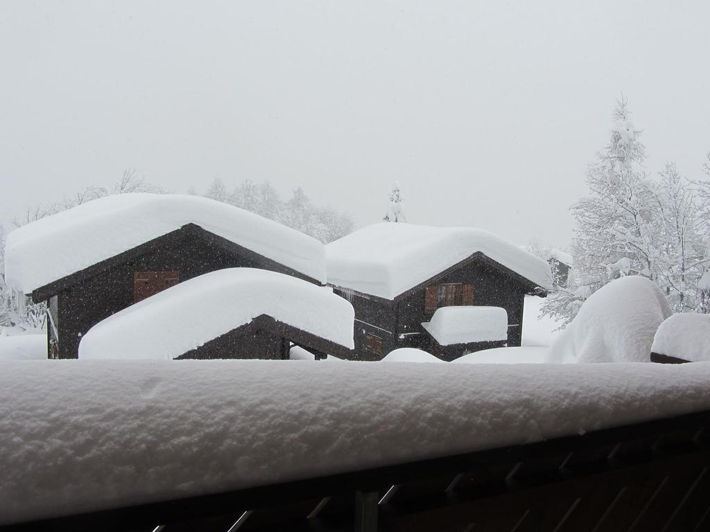 Superb Apartment With Views Of The Alps Bellwald Eksteriør bilde